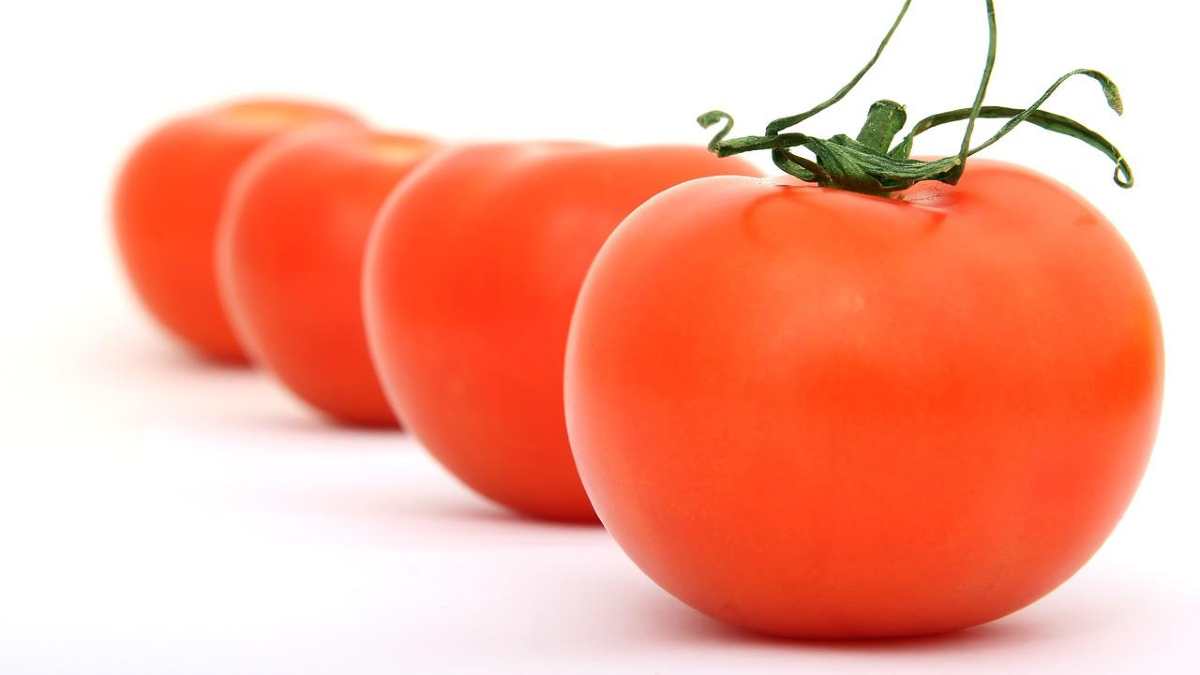 Tomato is keto, as it's low in net carbs.