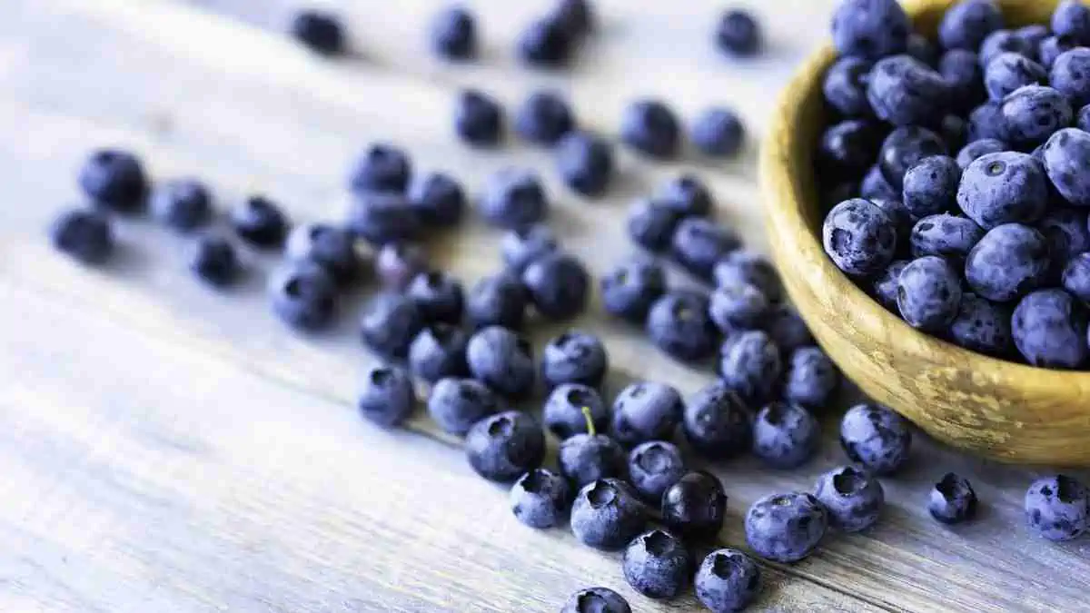 Raw blueberries contain 2.4 g of fiber per 100g.
