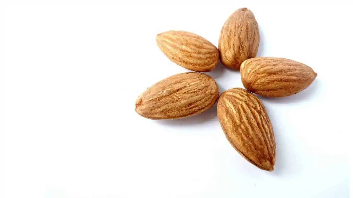 almonds are rich in fiber