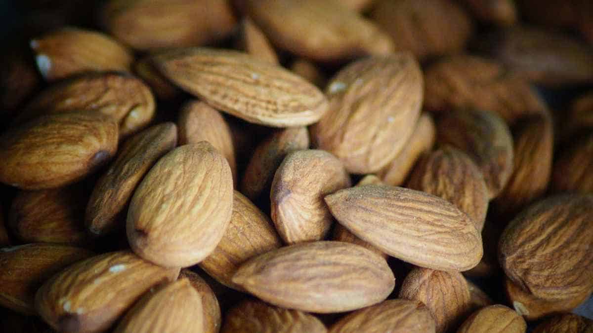 almonds are rich in protein