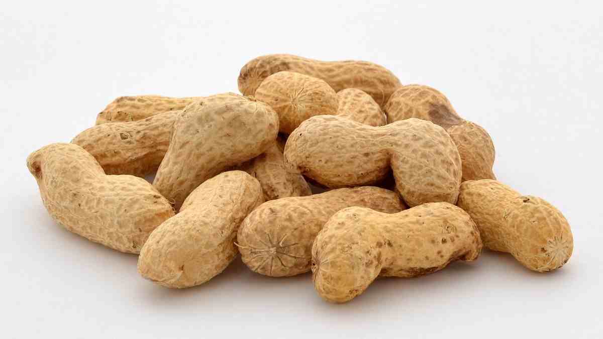 peanuts are rich in fiber