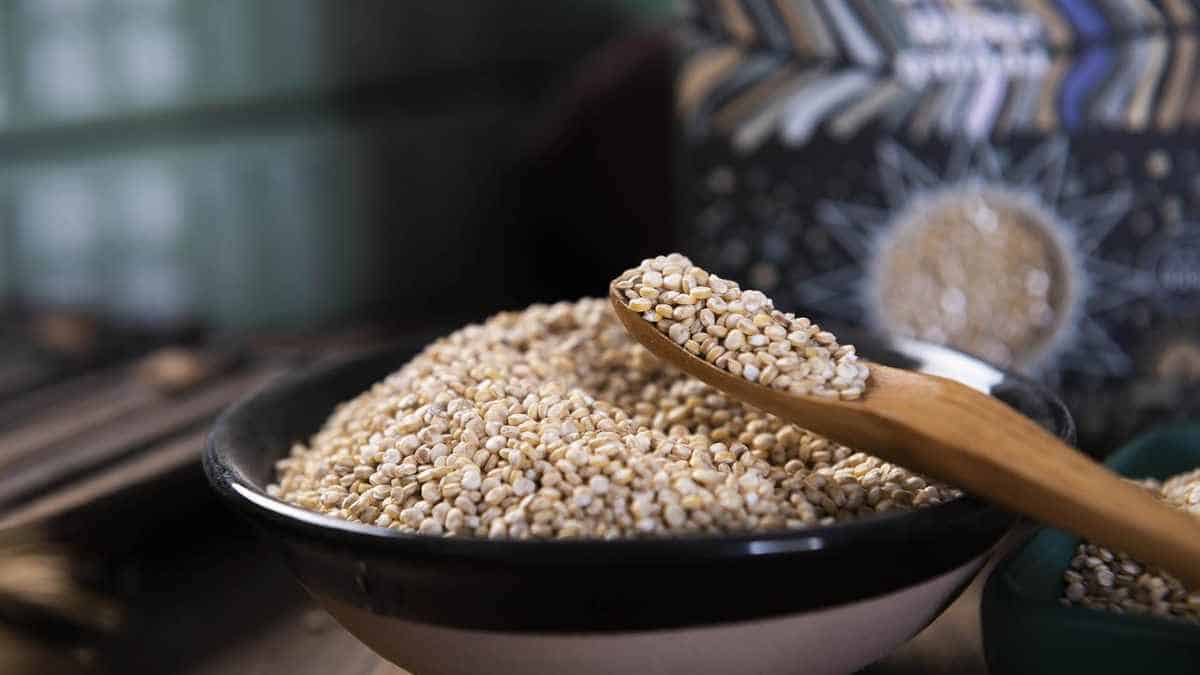 quinoa is rich in fiber!