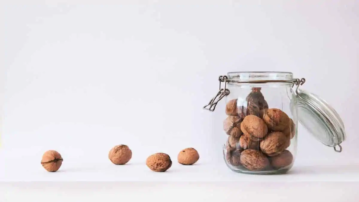 walnuts before bed support weight loss & a good night's sleep