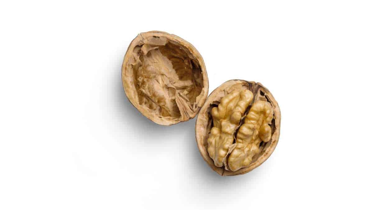 walnuts are rich in fiber!