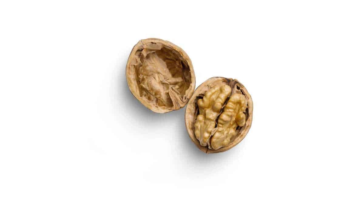 Do walnuts make you fat?