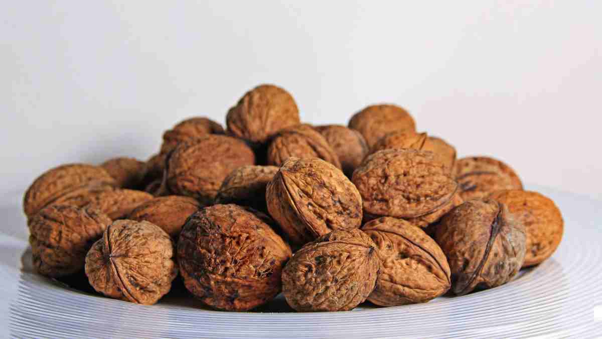walnuts are high in potassium