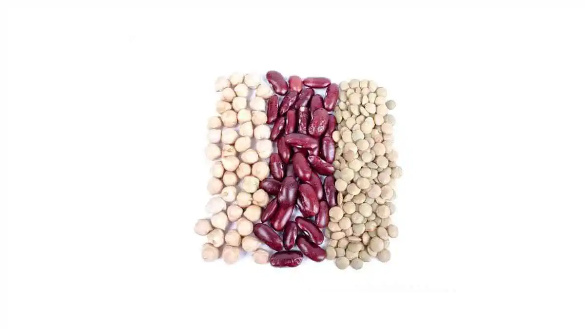 How much fiber in beans?