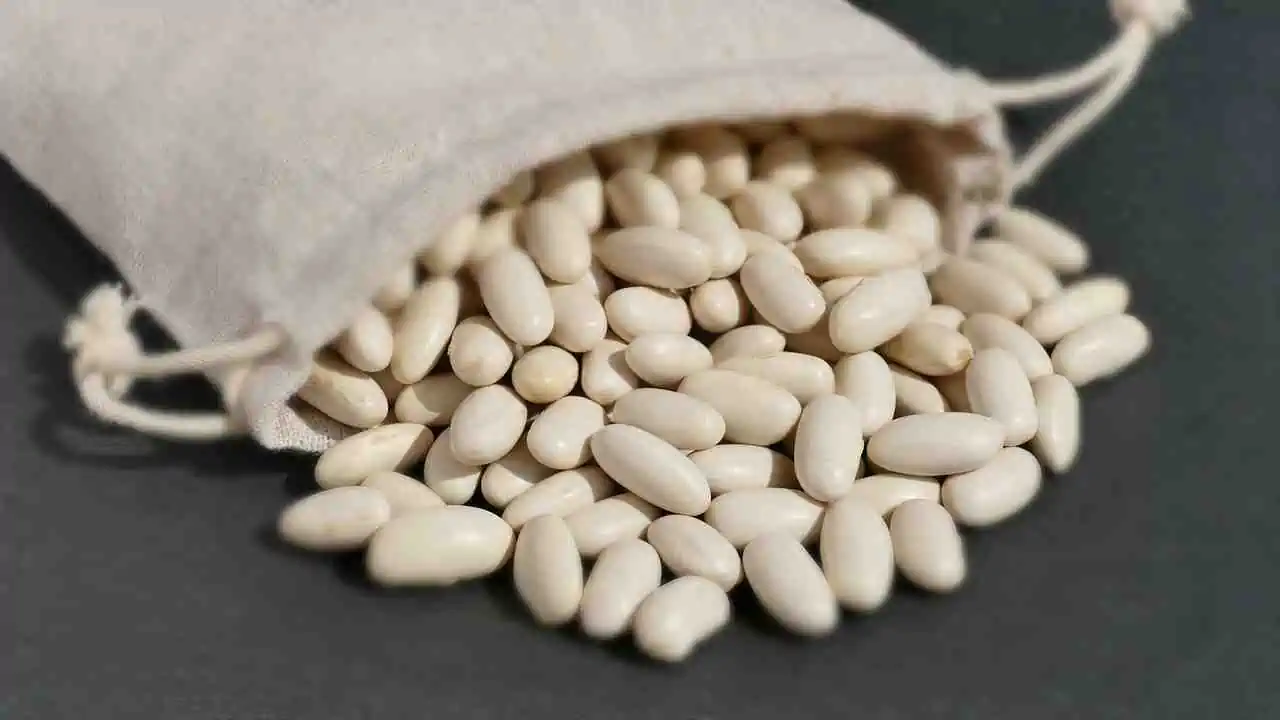 Are beans good dietary sources of magnesium?