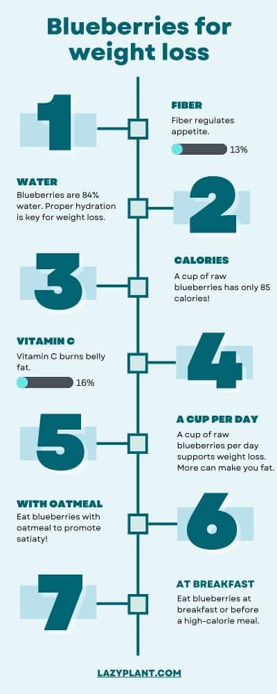 infographics | blueberries for weight loss