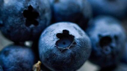 What’s the best time to eat blueberries for weight loss?
