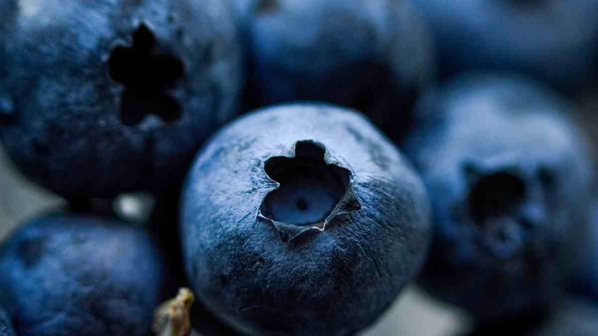 What's the best time to eat blueberries for weight loss?