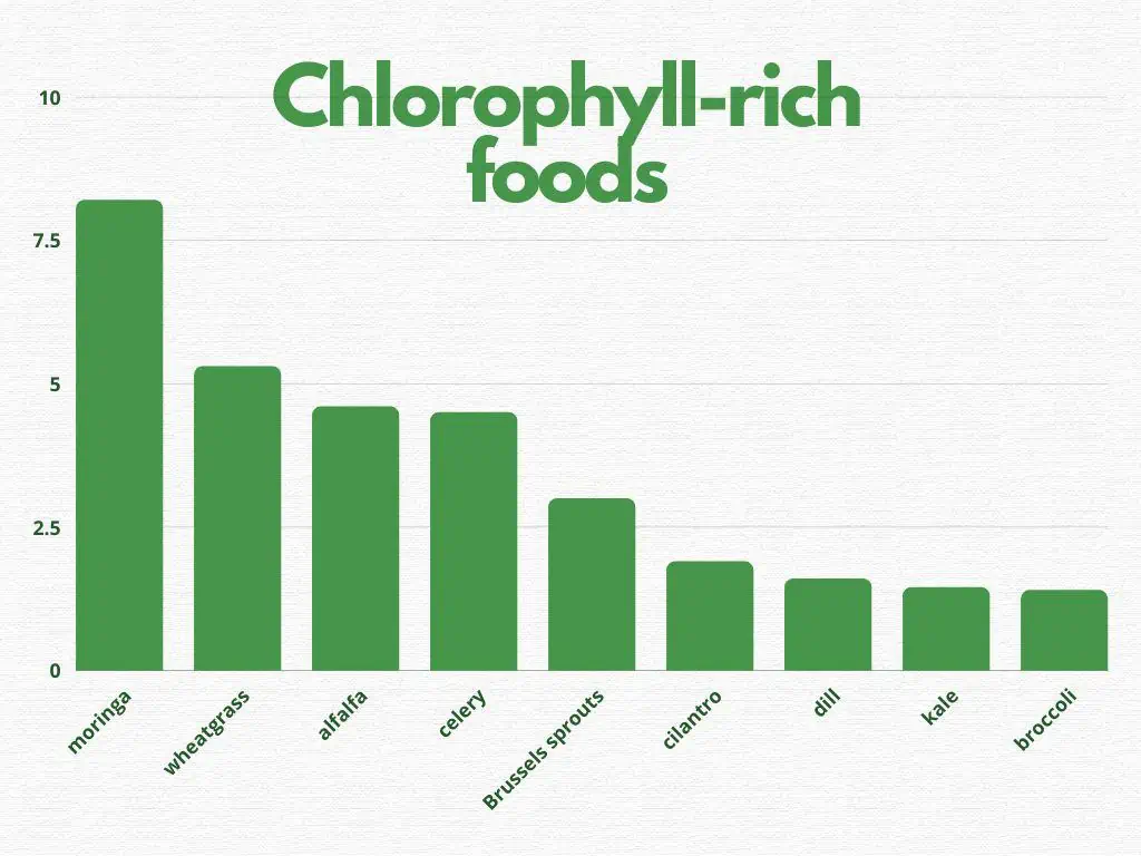 infographics | foods high in chlorophyll