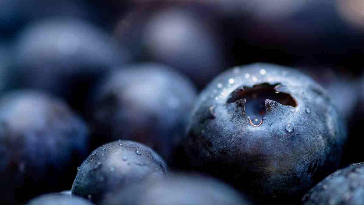 How many blueberries can I eat a day for weight loss & belly fat burning?