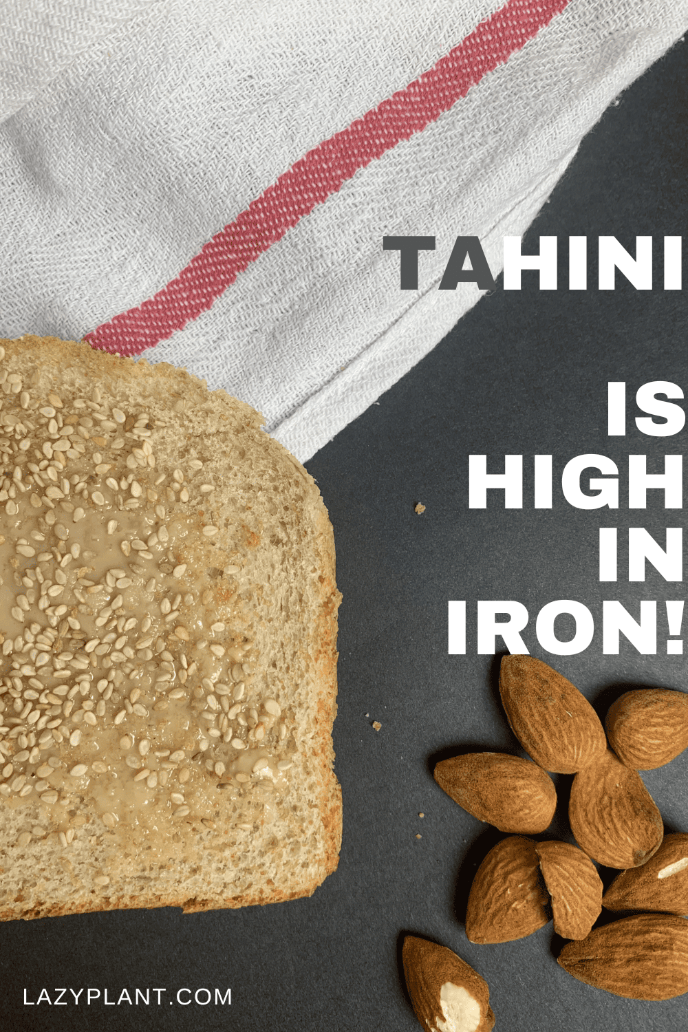Tahini is a great vegan source of iron!