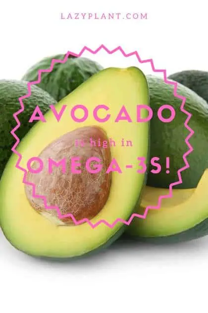 Avocado is a great vegan source of omega-3s!