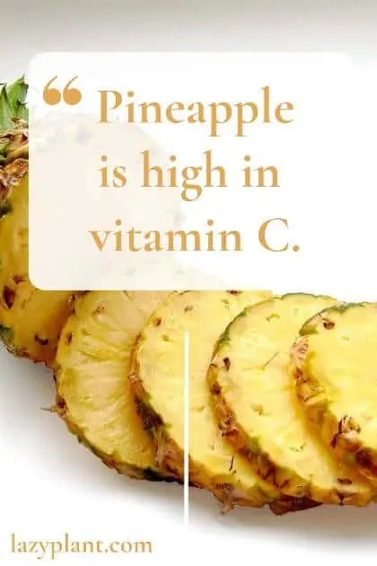 Pineapple is one of the richest fruits in vitamin C.