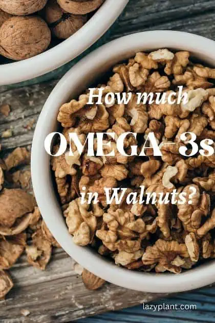 Walnuts are the richest nuts in omega-3s!