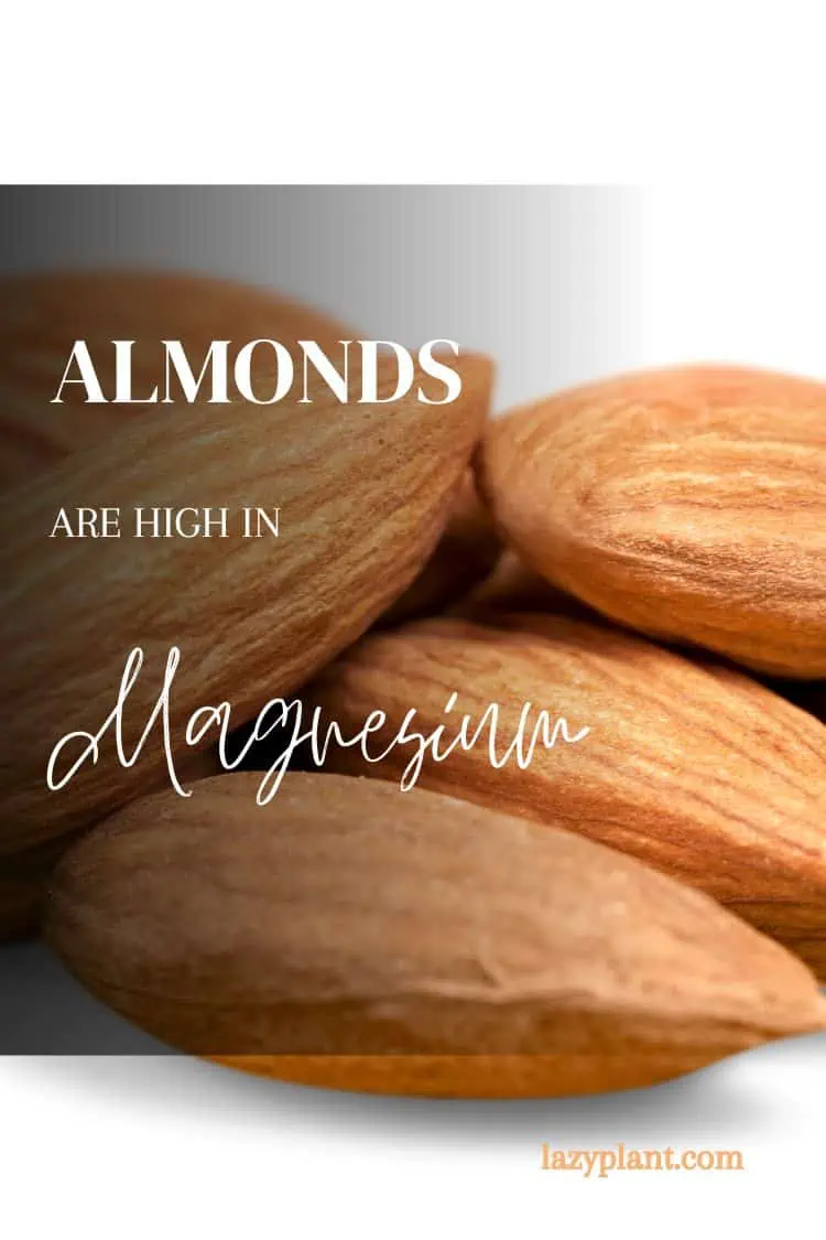 Almonds are an excellent vegan source of magnesium!