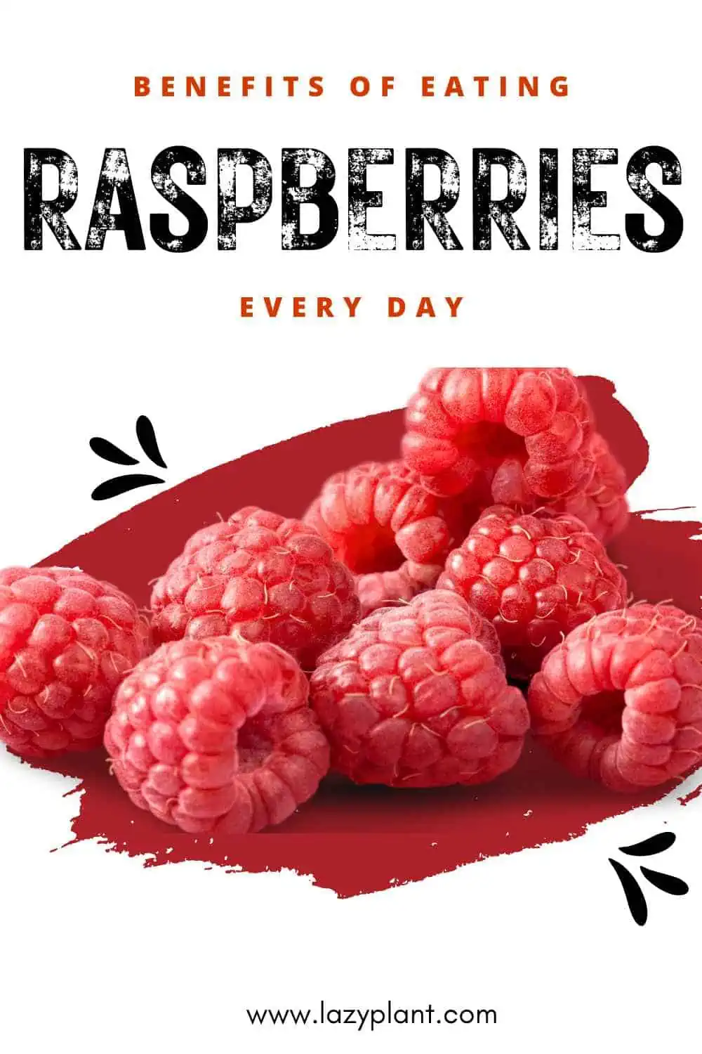 Eating one cup of raw raspberries every day is good for health & maintaining a normal body weight!