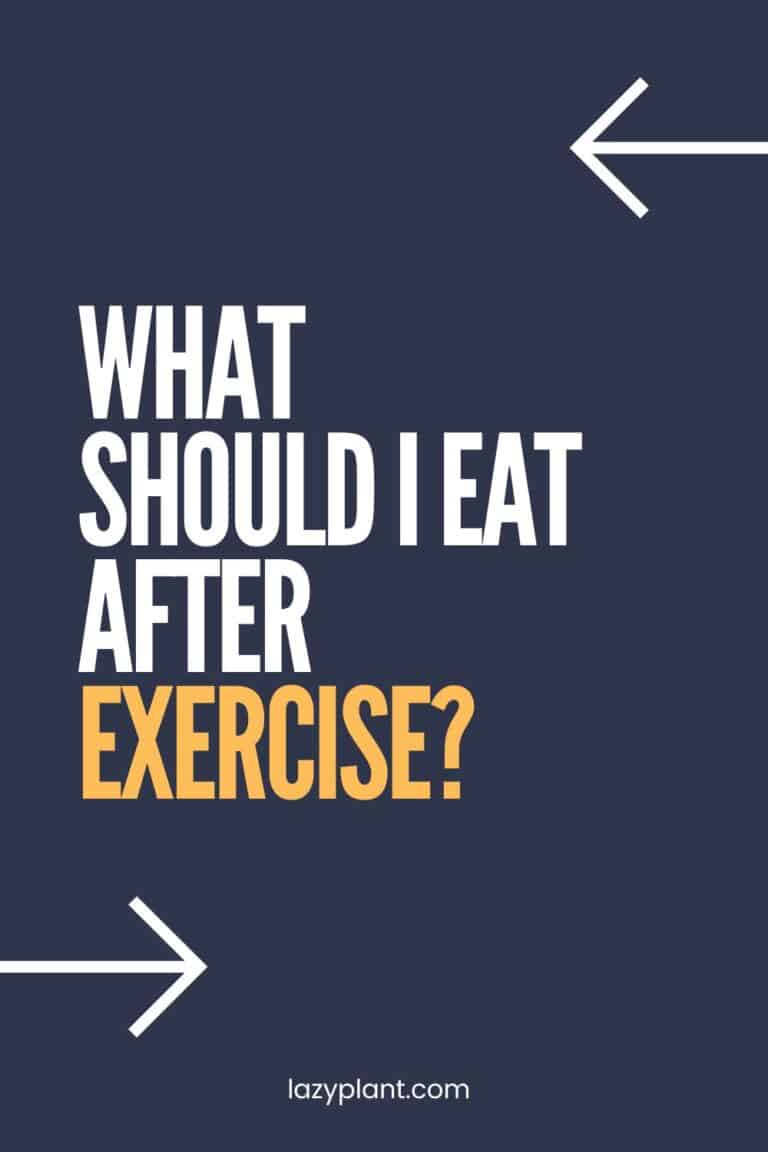 Best foods to replenish glycogen after exercise. LazyPlant