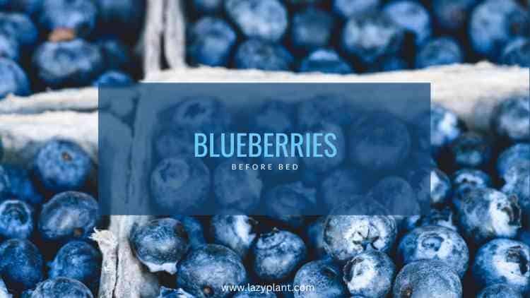 Fresh blueberries support weight loss and promote restful sleep.