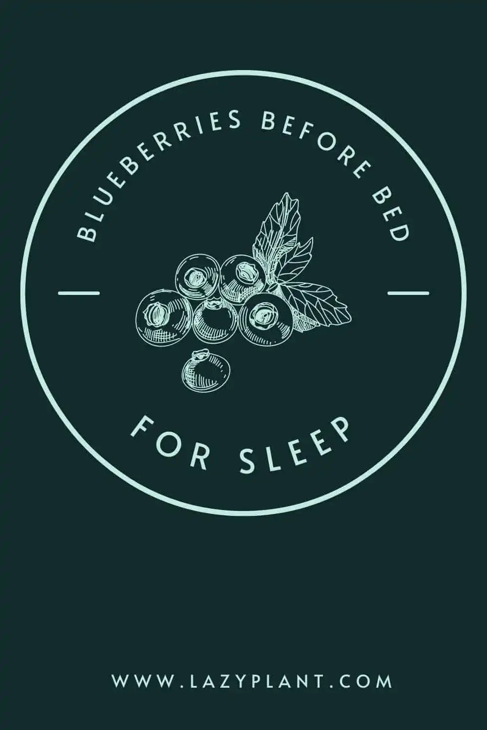 Raw blueberries before bed aid in sleep & weight loss LazyPlant