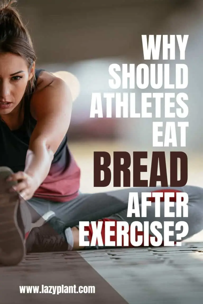 White bread after a workout speeds up muscle recovery LazyPlant