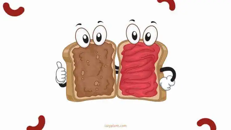 How many calories are in a peanut butter & jelly sandwich?