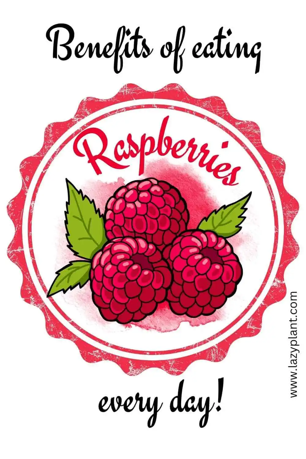 Eat 1 cup of raw raspberries every day for weight loss & good health