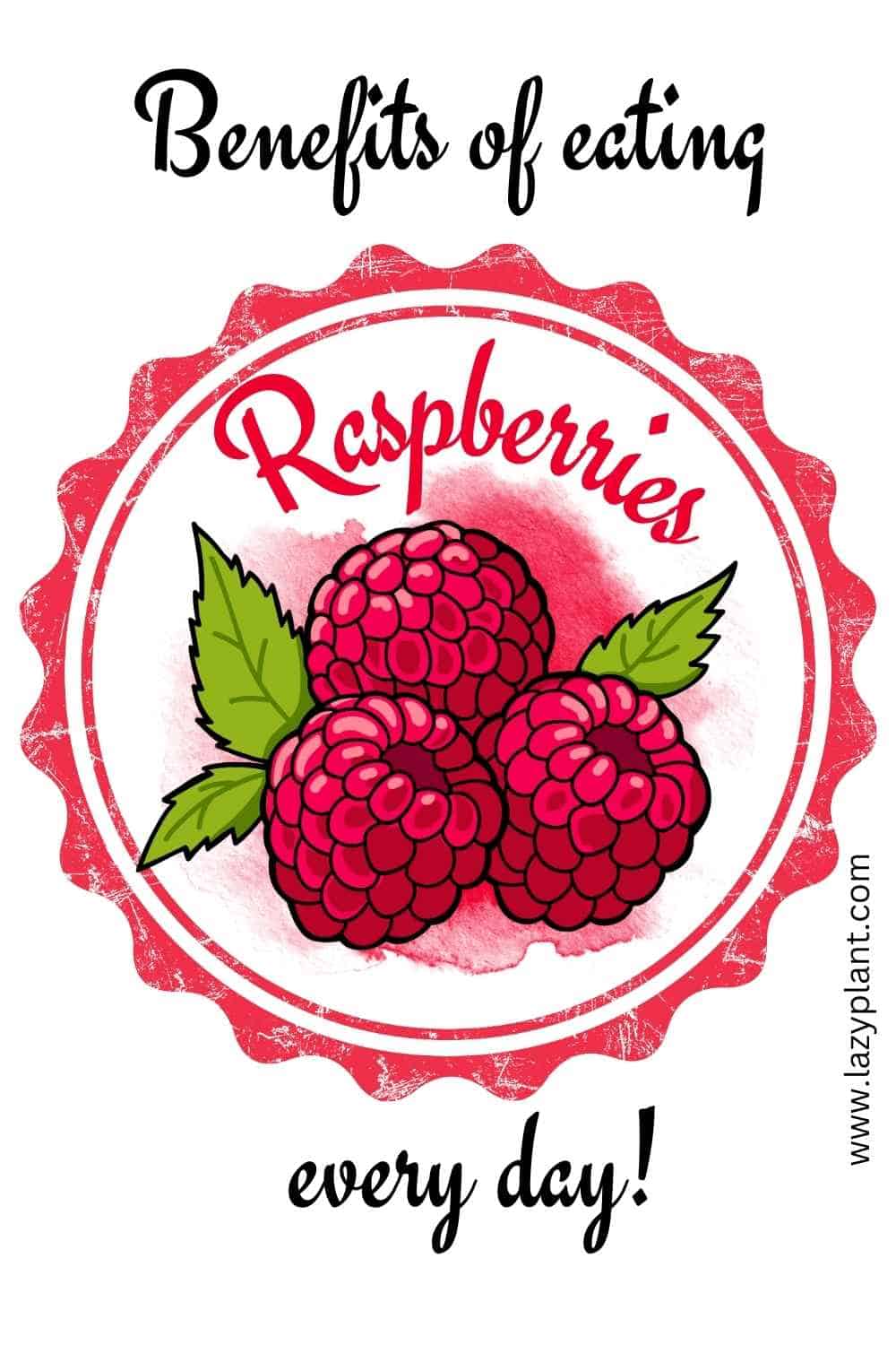 Can I eat raspberries every day? LazyPlant