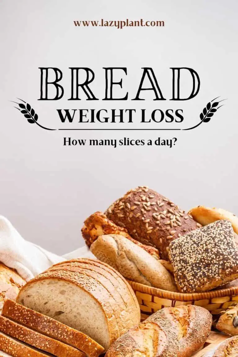 How many slices of bread a day for weight loss? - LazyPlant