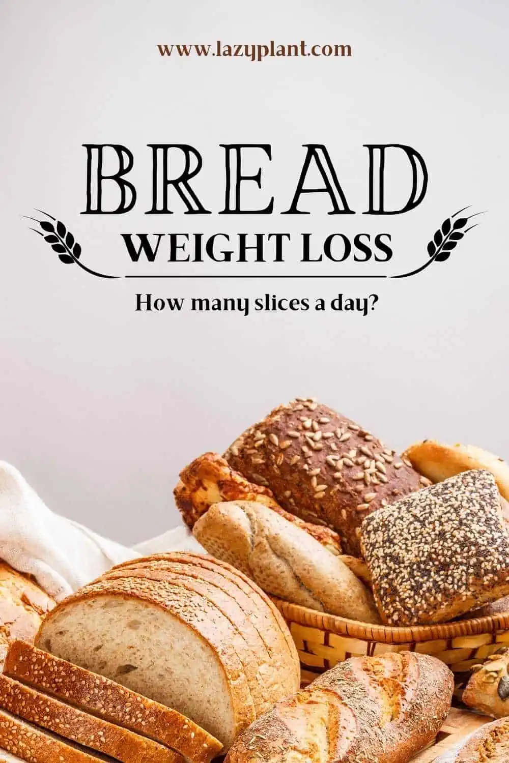 1-2 slices of bread a day support weight loss!