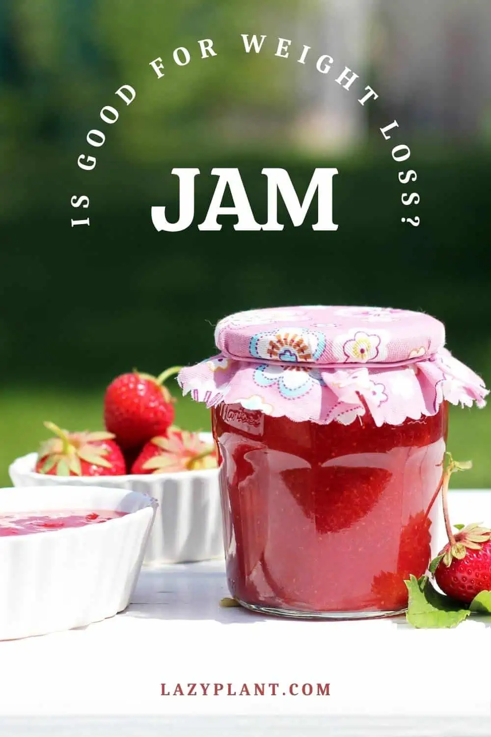 Premium, sugar-free jam, jelly or marmalade is good for weight loss!