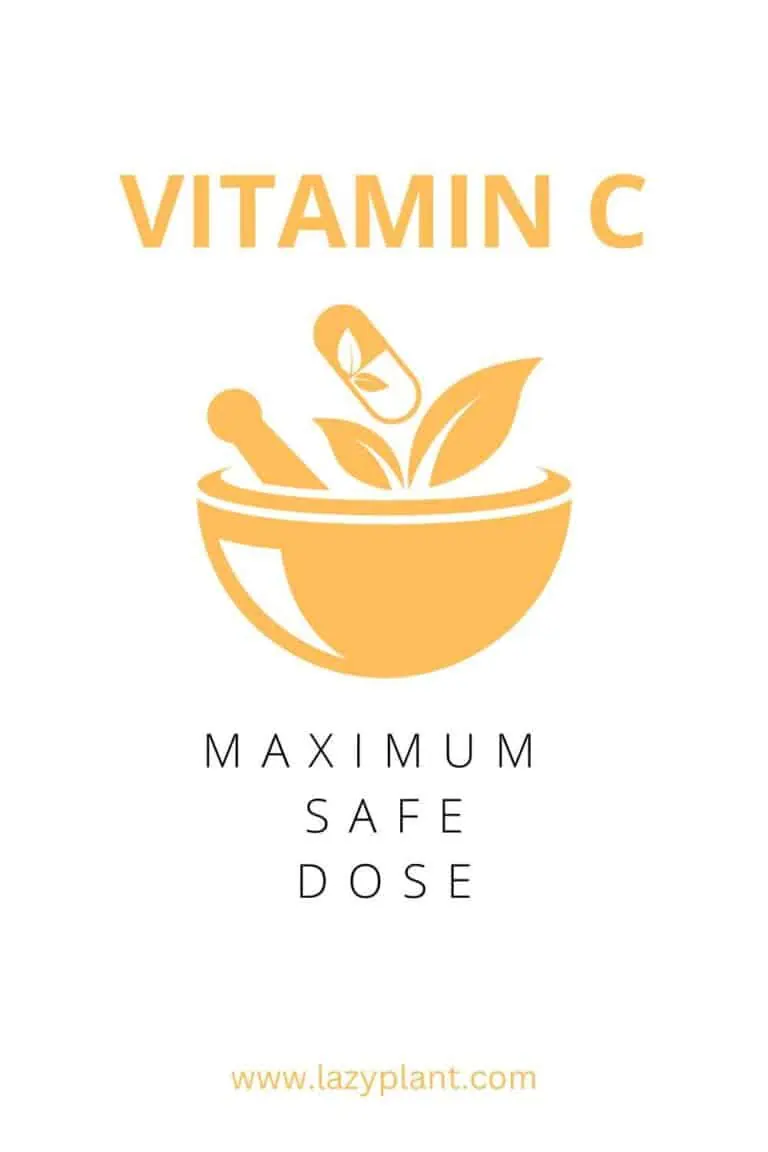 Is a daily dose of vitamin C of 1,000 mg too much? LazyPlant