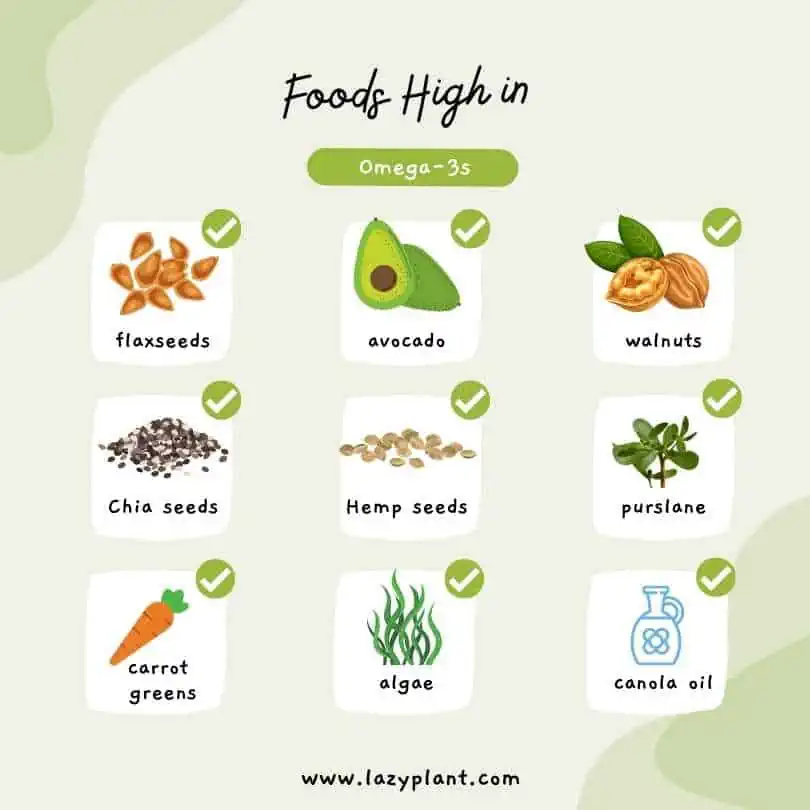 Infographics - list - Foods high in omega-3s.