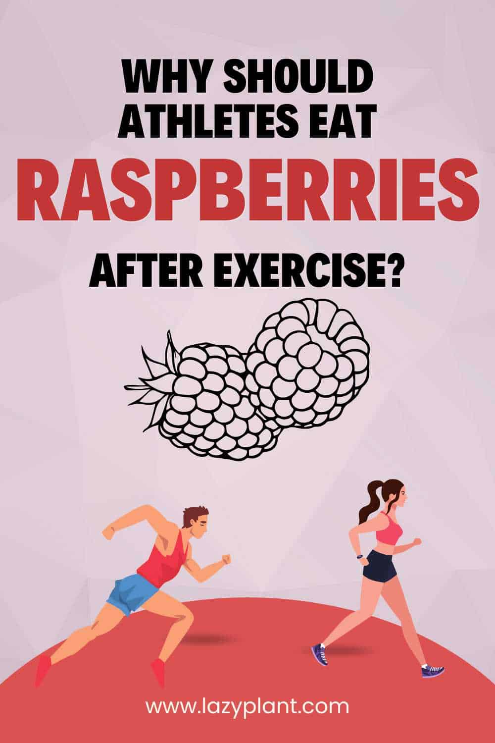 How to eat raspberries for athletic performance & muscle growth?