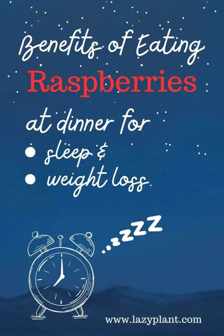 Raspberries before bed support a good night's sleep LazyPlant