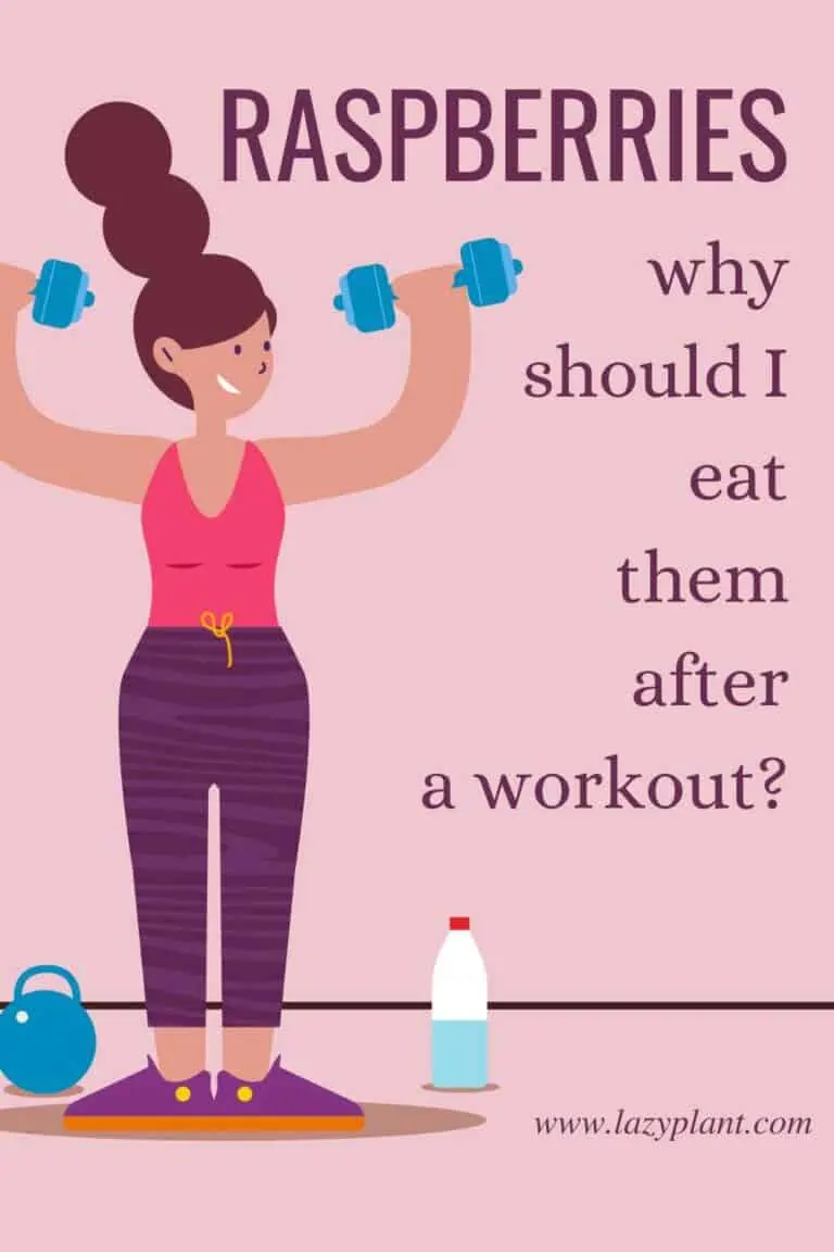 Raspberries for muscle growth & endurance LazyPlant