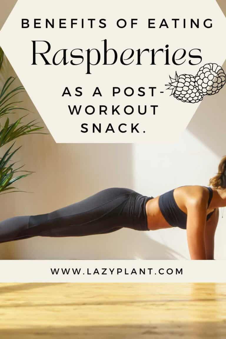 Raspberries for muscle growth & endurance LazyPlant