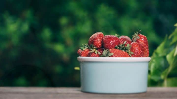 Eating strawberries after exercise supports recovery & muscle growth.