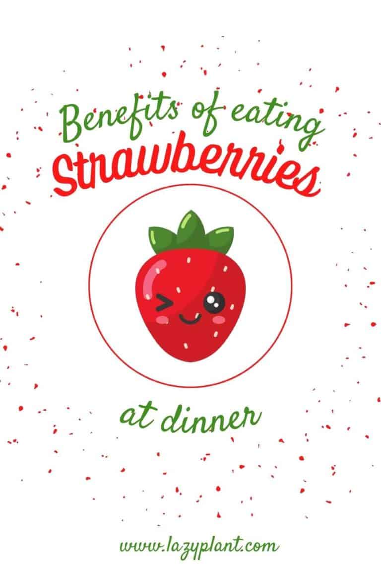 Eat Strawberries at night for better Sleep LazyPlant