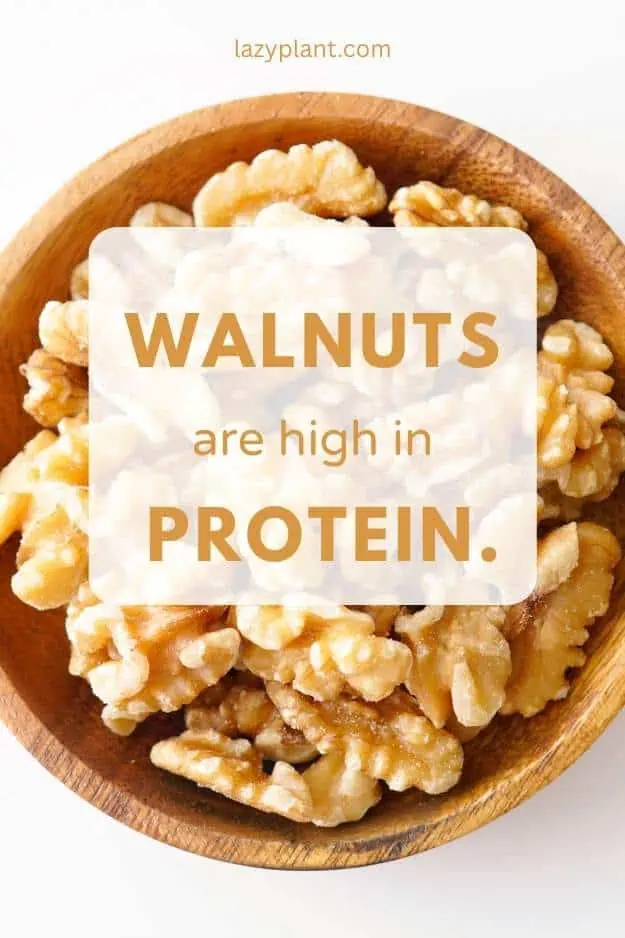 Walnuts are a great vegan protein source.