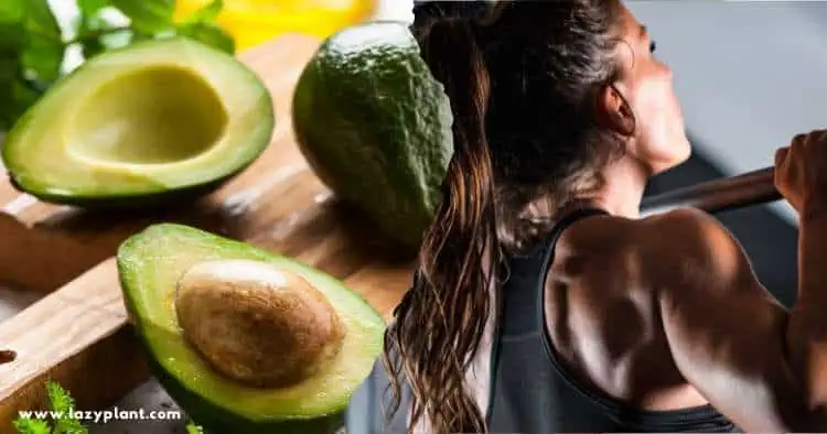 eating avocado after a workout supports muscle growth, recovery, and athletic performance!