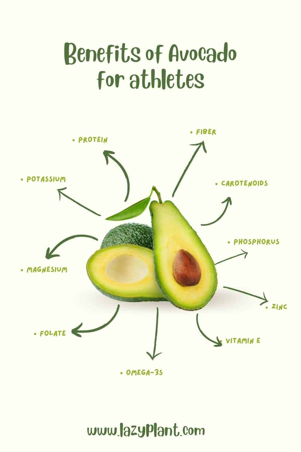 Eating avocado after a workout supports muscle growth, recovery, and athletic performance!