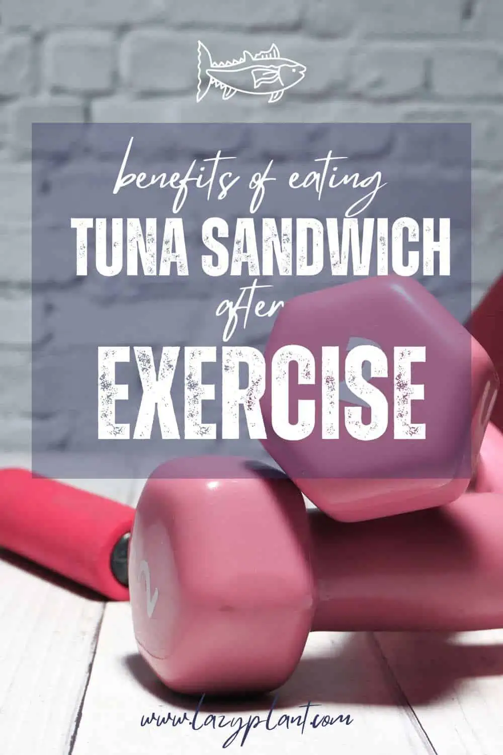 Tuna sandwich after a workout for muscle growth LazyPlant