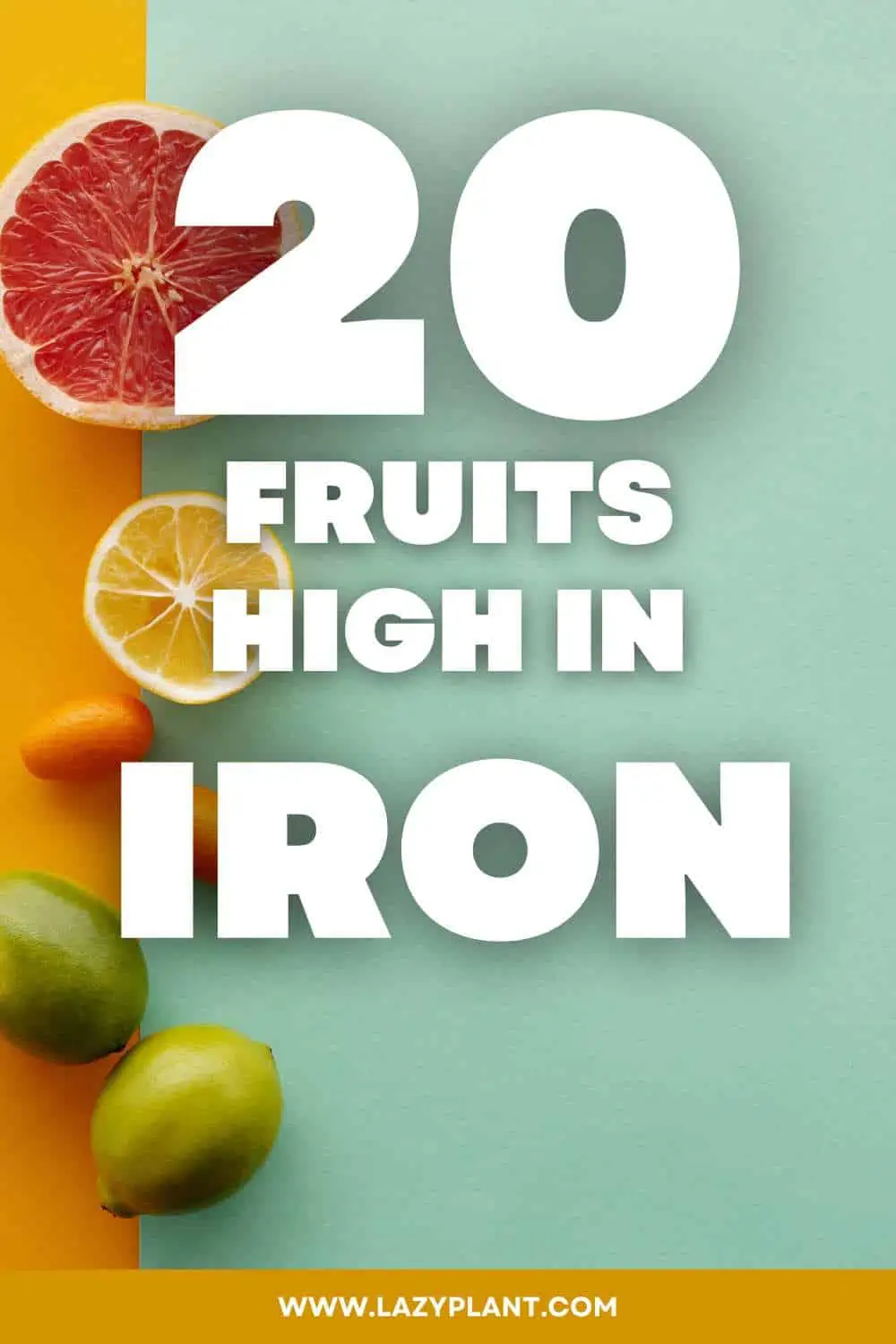 A list of common fruits naturally high in iron.