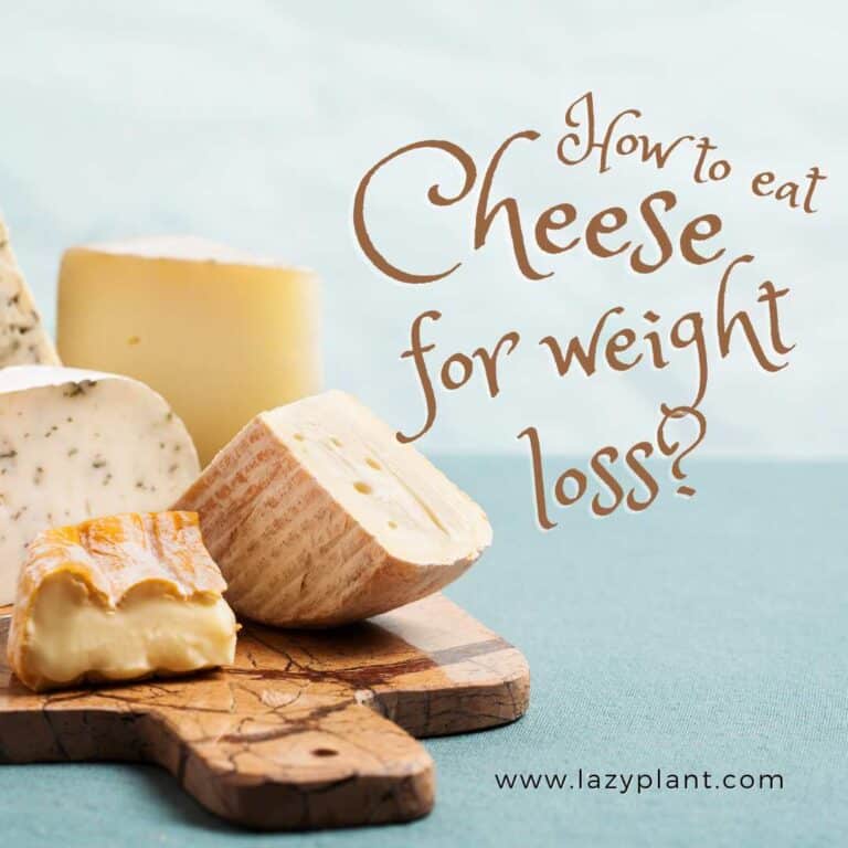 How to eat cheese for weight loss? LazyPlant