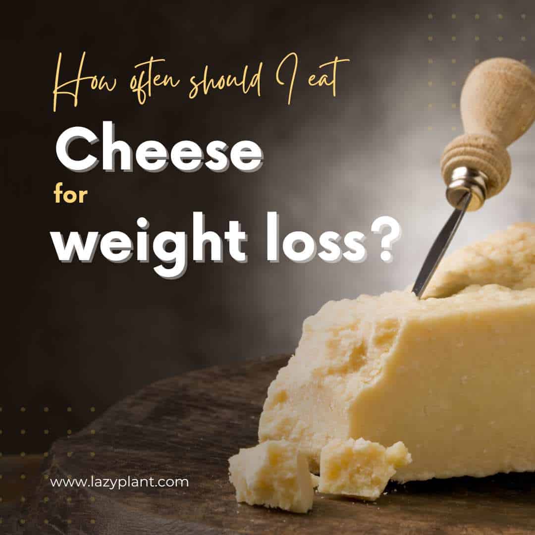 How often can I eat cheese if I want to lose weight?