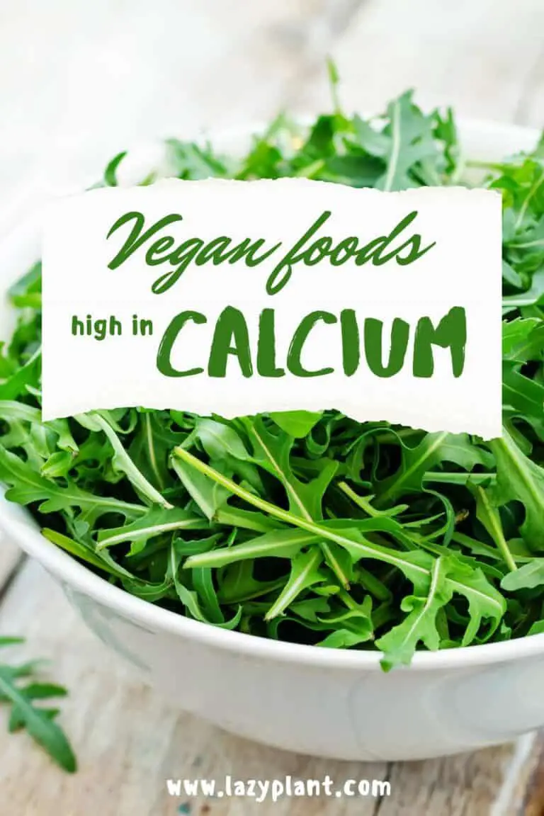 Vegan Foods High In Calcium. - Lazyplant