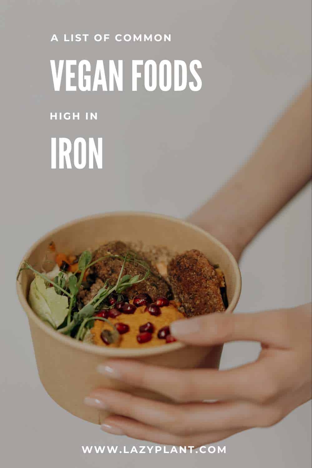 A list of common vegan foods naturally rich in iron!
